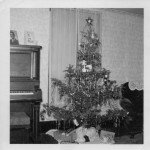 Carl Miller family Christmas tree (1951)