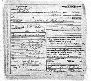 Death Certificate of Ann R. Pflueger, Van Wert Co., Ohio, 1911.