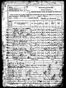 1890 Veterans Schedule, Liberty Township, Mercer County, Ohio.