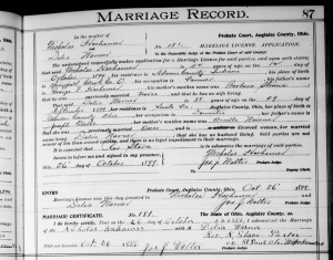 Nicholas Hoehamer marriage to Delia Warner, Auglaize County, Ohio, 1899.