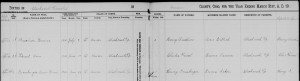 Anna Grauberger birth record, Mercer County, Ohio. 