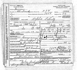 Sophie Schulz 1910 death certificate, FamilySearch.org.