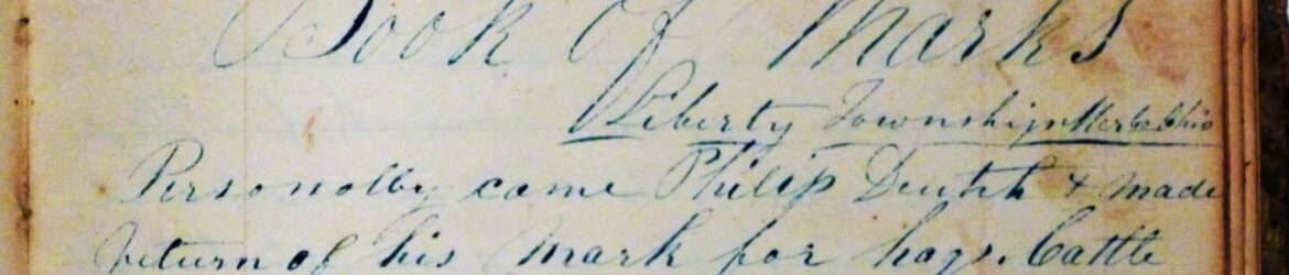Liberty Twp Book of Marks/Estray